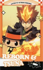 【中古】キャラカード 41.沢田綱吉＆リボーン 「家庭教師ヒットマンREBORN! スナップマイド」