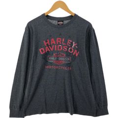 古着 07年製 パタゴニア Patagonia マイクロナシンチラ