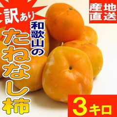 【予約】柿 たねなし柿 【お試し】和歌山県産 訳あり たねなしかき 3kg 脱渋処理済 ※発送開始予定日:10月上中旬〜