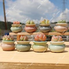 Item thumbnail for item 4ae35d2e-be87-4589-b3f8-278c7e82a9ce