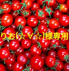 りお(☆∀☆)様専用　３kg＋100g 　クール便
