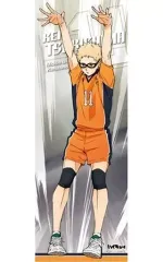 【中古】ポスター 月島蛍 「ハイキュー!! TO THE TOP キャラポスコレクション2」