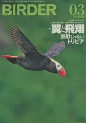 【中古】動物・ペット雑誌 BIRDER 2021年3月号