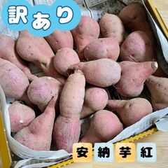 福岡県産 訳あり安納芋紅 ★宅急便コンパクトいっぱい