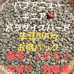 パプアニューギニア　パラダイスバード生豆　800g匿名配送