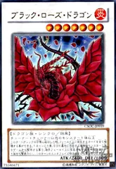 2026年最新】ブラックローズドラゴンの人気アイテム - メルカリ