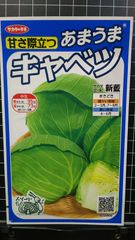 あまうま キャベツ 新藍 種 郵便 ３袋セット 甘さ際立つ