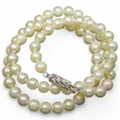 天然あこやパール 本真珠 約6.2mm前後 ネックレス 42cm 総重量22.86g ジュエリー 宝石 貴金属 レディース 普段使い 冠婚葬祭【商品管理番号】YA72505220