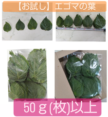 【お試しパック】エゴマの葉