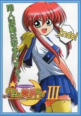 【中古】男性向一般同人誌 ≪オリジナル≫ もっとがんばれ美月さん III 妄想絵日記浪漫譚 / 美月亭