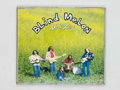 T*M様 Blind Melon Soup 12インチLPレコード １枚 輸入版 BLIND MELON / ブラインド・メロン商品一覧｜ディスクユニオン