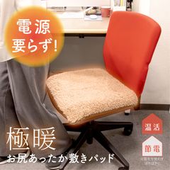 極暖 お尻あったか敷きパッド  お尻 冷え 温め オフィス 小さめ 小さい 膝掛け ひざ掛け 防寒 冷え性 毛布 暖かい 睡眠 子ども 子供 足元 あったか 子供 防災 グッズ 冷房 対策 寒さ対策 デスクワーク テレワーク ふわふわ あったかグッズ