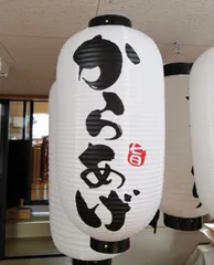 からあげ提灯　提灯　ビニール　からあげ　店舗用品　通販　名入れ　屋外　看板　飲食店　唐揚げのサムネイル