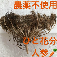 【農薬不使用】人参の種  にんじん カロチン豊富 根野菜♪