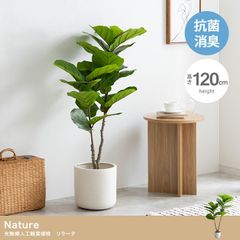 【高さ120cm】Nature 光触媒人工観葉植物 リラータ