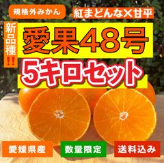 新品種！愛果48号　家庭用5キロ
