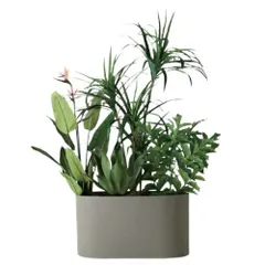 人工観葉植物 フルセット キャスター付スチールオーバープランター（オリーブ） /トロピカルプランツ（1セット）bs021g プラススタイル 玄関、広い空間サイズ インテリア フェイクグリーン 造花 BROWN+style （p177）