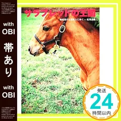 2026年最新】名馬風の王の人気アイテム - メルカリ
