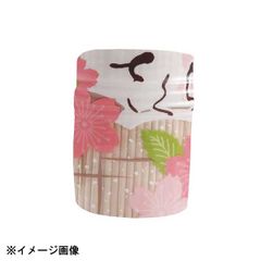 Item thumbnail for item bb8a1dec-4de5-4b49-be6e-c7a617299b46