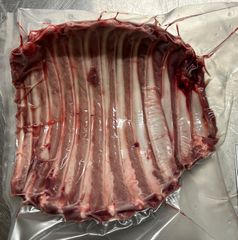 イノシシあばら付き肉　5枚