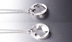 イルカや鳥が変身！錯覚シルバーネックレス「トランスモティーフ」アニマルシリーズ【マット仕上げ】