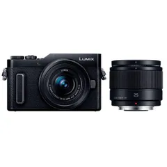 ★美品★ Panasonic LUMIX DMC-GF1 黒 カスタマイズボディ LUMIX DMC-GF1 ボディの製品画像 - 価格.com