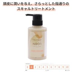 サロン専売 スカルプ(スキャルプ)ケア トリートメント 300g(ml) [GRACE HOME BEAUTY No.01] ノンシリコン 頭皮ケア ボリュームアップ