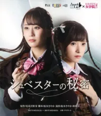 【中古】その他Blu-ray Disc アサルトリリィ×私立ルドビコ女学院 「シュベスターの秘密」