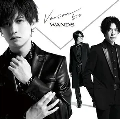 WANDS第５期フォトブック3点セット WANDS第5期フォトブック3点セット WANDS第5期フォトブック3