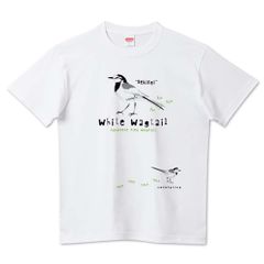 白鶺鴒 ハクセキレイ 野鳥スケッチ 0575 てけてけ Tシャツ 半袖 白限定