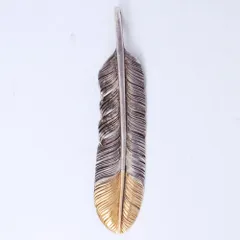 鷲見太郎　Newtypeフェザー 鷲見太郎 Newtypeフェザー