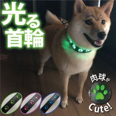 光る首輪 犬 散歩 肉球 LEDライト 夜 夜道 ペット USB充電 軽量 抗菌 安心 安全 事故防止 サイズ調節可能