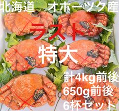 ラスト！最安【北海道オホーツク産】 毛蟹650g前後×6杯 約4kg