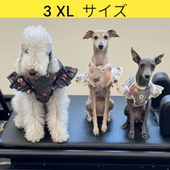 2026年最新】ウィペットの人気アイテム - メルカリ