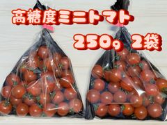 お試し パクッとおやつ感覚 フルーツミニトマト 500g