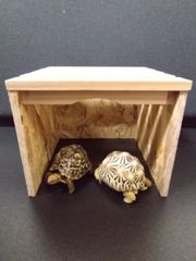 Item thumbnail for item 5f5a5f3f-04af-4a8e-a56a-dffd0e08c805