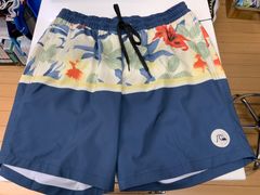 クイックシルバー　メンズ　海パン　水着　Mサイズ　水色