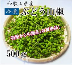 和歌山県産冷凍生実山椒500g