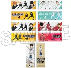 【中古】バッジ・ビンズ 全10種セット 「ハイキュー!! トレーディングロング缶バッジ ウォーミングアップ!!」