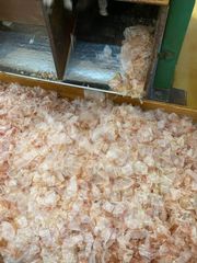 当社自信作　枕崎産　極薄削り花かつお　１００ｇ　ネコポスタイプ