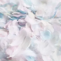 【今売れています】約1000枚 挙式 花びら たっぷり 造花 ウェディング 3色とフェザー フラワーシャワー 天使のパステル