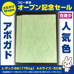 ②　特殊紙、レザック66（175kg）アボガド50枚、人気色、A4！