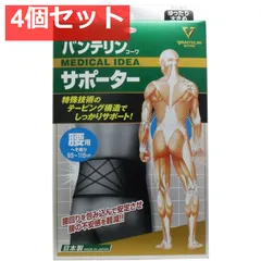 バンテリンサポーター 腰用 ゆったり大きめ LLサイズ ブラック 1枚入 4個セット まとめ売り