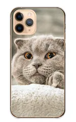iPhone14Pro ケース ハードケース アイフォン14 プロ スマホケース 猫 ネコ 白猫  スコティッシュフォールド マンチカン 写真 可愛い オシャレ おしゃれ くすみ ベージュ カラー04