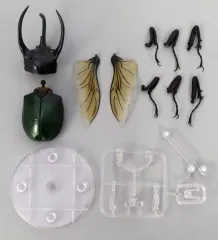 【中古】トレーディングフィギュア コーカサスオオカブト(スマトラ) 「いきもの大図鑑アドバンス コーカサスオオカブト ディスプレイスタンドセット」 ガシャポンオンライン限定