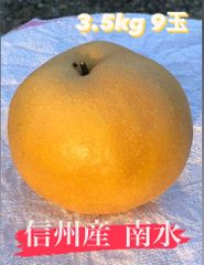 信州産なし【梨★豊水】サイズおまかせ8〜9玉4kg越え★