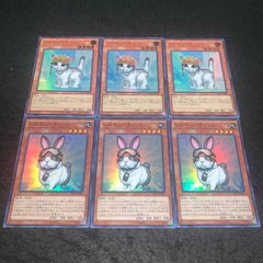 遊戯王 No.3004 スーパー レスキューキャット レスキューラビット 各3枚 計6枚