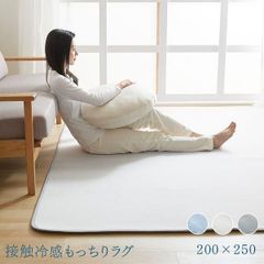 オールシーズン適用 抗菌防臭 極細カシミヤ カーペット 200x250cm