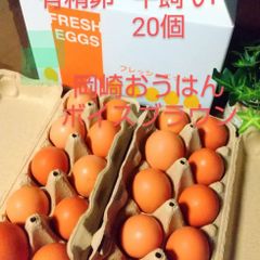 有精卵 平飼い 岡崎おうはん ボリスブラウン 20個
