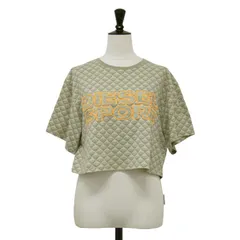 DIESEL ディーゼル Tシャツ ベージュ系 サイズ:XS | 23春夏 モノグラム ロゴ 半袖 Tシャツ | Awtee-mimi-ht24 | クルーネック クロップド丈 刺繍 | トップス カットソー【レディース】【中古】